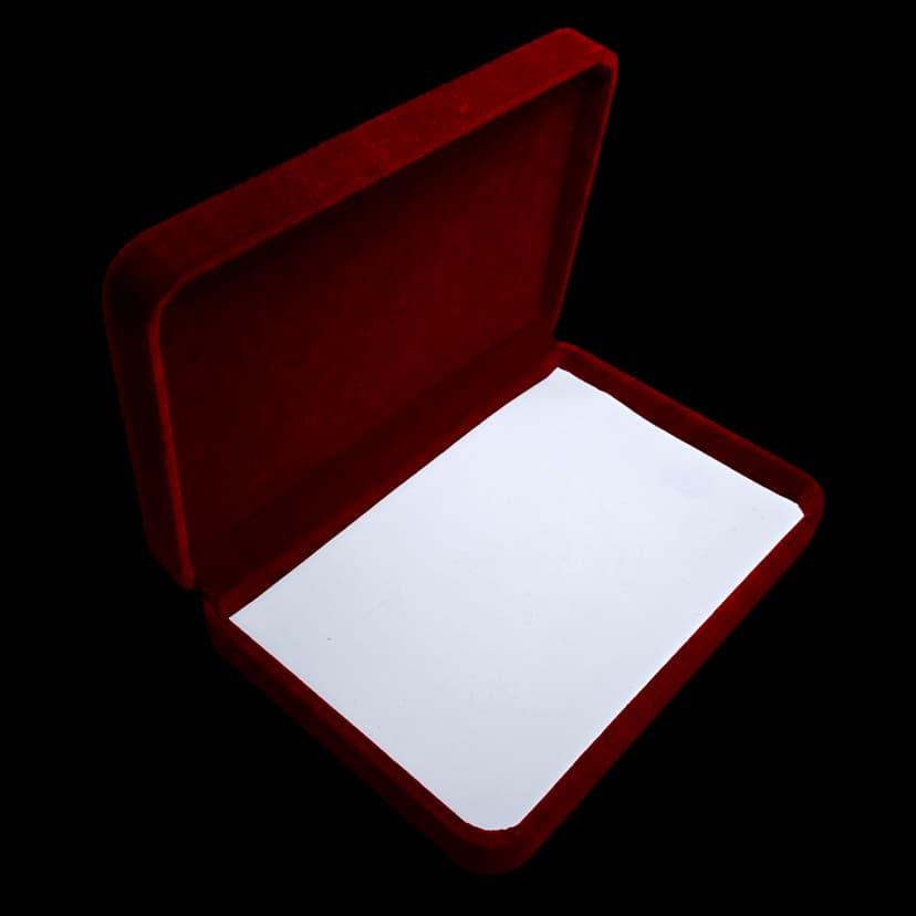 Flocked Case